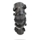 ASTERISK CARBON CELL 1