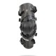 ASTERISK CARBON CELL 1